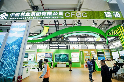 2025年世界林木业大会暨2025年广西国际林产品及木制品展盛大举办(图5) 图片6.png
