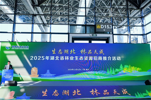 2025年世界林木业大会暨2025年广西国际林产品及木制品展盛大举办(图19) 图片19.png