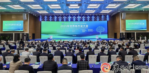 2025年世界林木业大会暨2025年广西国际林产品及木制品展盛大举办