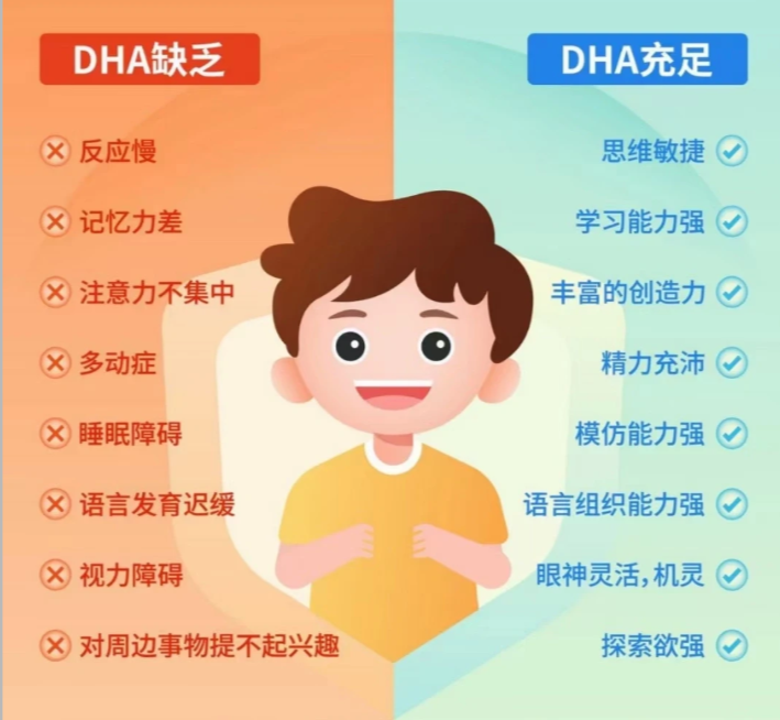 补脑 DHA 哪个牌子好？成分、吸收率、安全性、性价比四维科学解析