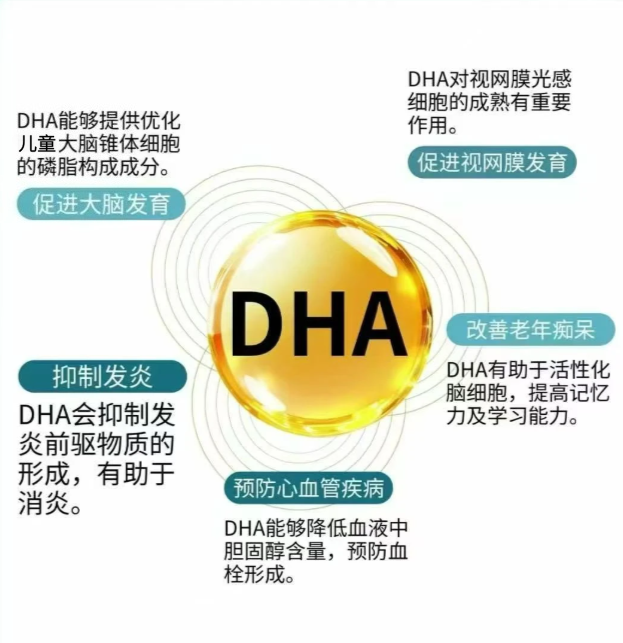 2026 儿童 DHA 哪款靠谱？2026十款优质排行榜, 科学避坑指南(图3)