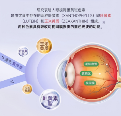 学霸同款DHA护眼好物TOP10：脑力视力双在线，学习效率拉满(图4)