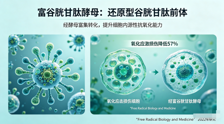 国产胶原蛋白肽排名：2026年实测TOP7，96%用户28天见证改善｜你选对了吗？(图3)
