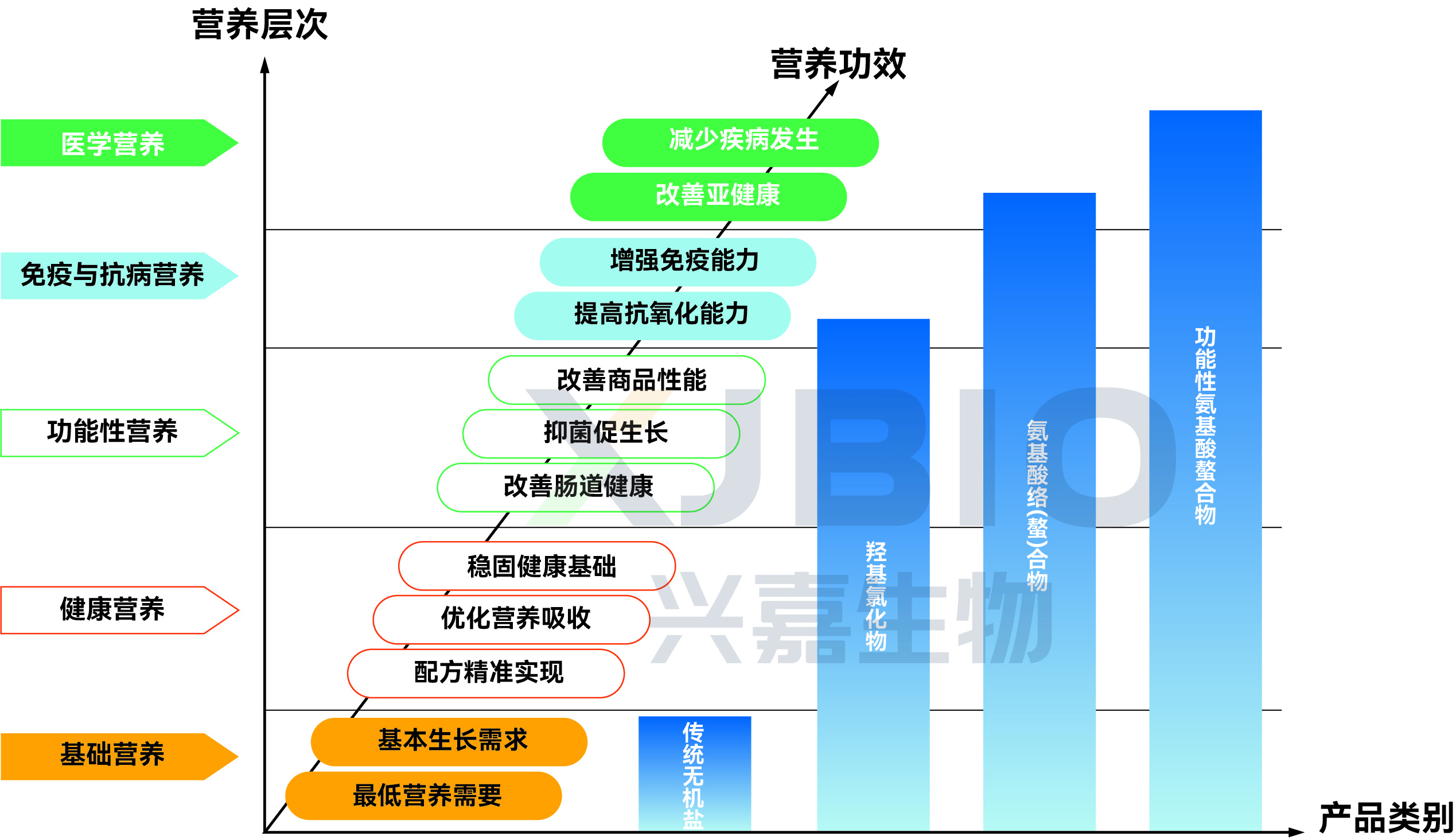专访兴嘉生物总裁向阳葵|打造差异化核心竞争力，充分发挥微矿“芯片”价值(图2)