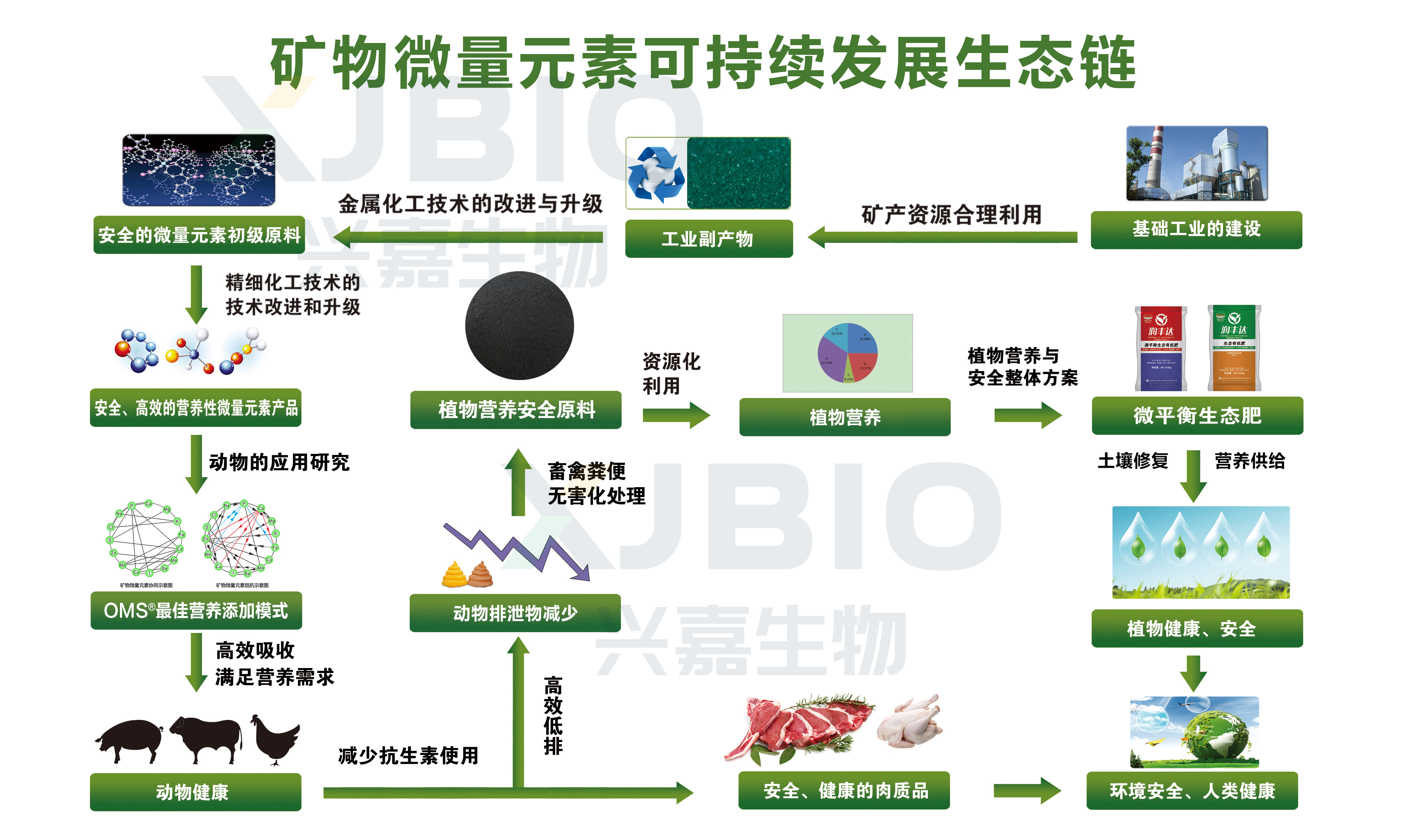 专访兴嘉生物总裁向阳葵|打造差异化核心竞争力，充分发挥微矿“芯片”价值(图3)