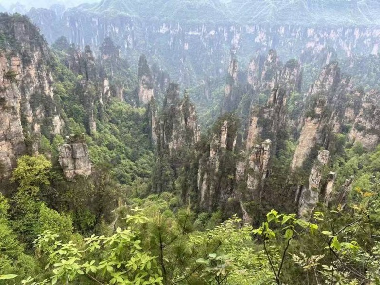 2026张家界纯玩旅游避坑指南:本地五星社途湘天下凭什么成为口碑王?