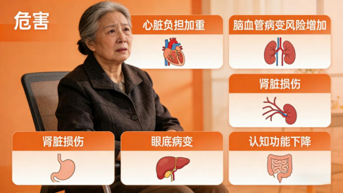 老年人重度高血压血压计怎么选？2026年十款专业血压计选购避坑指南(图1)
