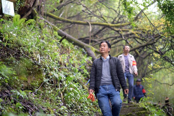 中国加快建设自然保护地体系守护珍稀动植物