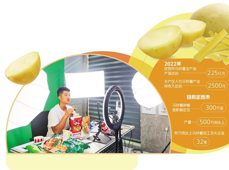 甘肃定西：马铃薯变身“金元宝”