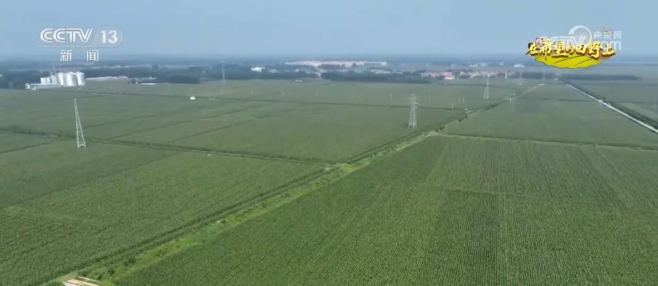 “济麦”“齐黄”“登海”等优质品种多次刷新全国高产纪录